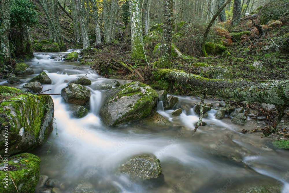 Obraz premium Jotaele25