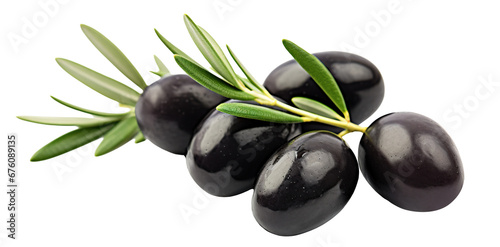 Olive branch with ripe and delicious olives, cut out