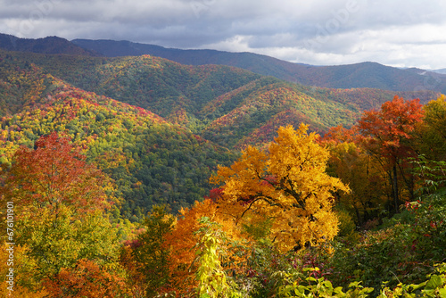 Fototapeta Naklejka Na Ścianę i Meble -  Fall colors on the mountains in Great Smoky Mountains National Park