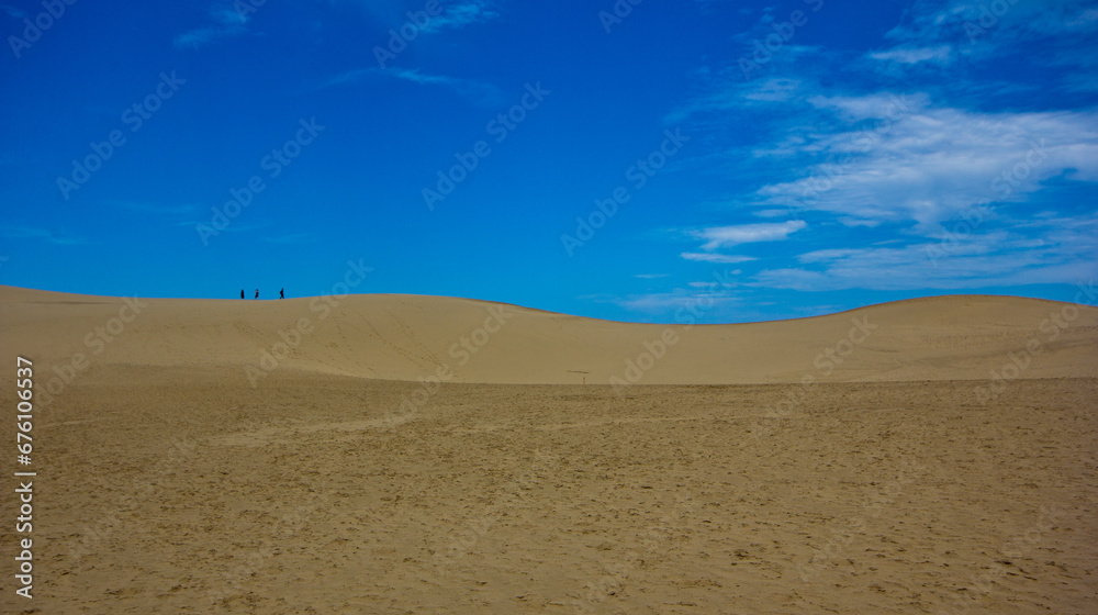 desert dunes skyline in front of blue sky
