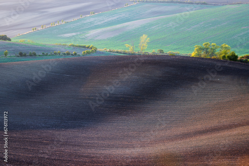 Rolling Fields of Czech Moravia: A Tapestry of Rural Beauty