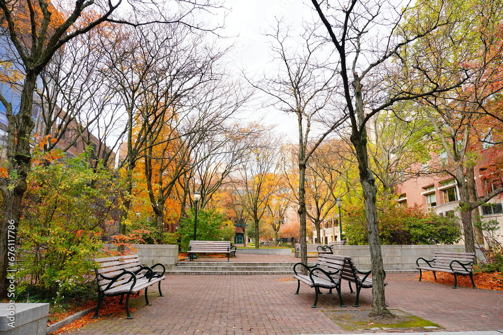 University of Pennsylvania Fall colorful foliage autumn landscape	