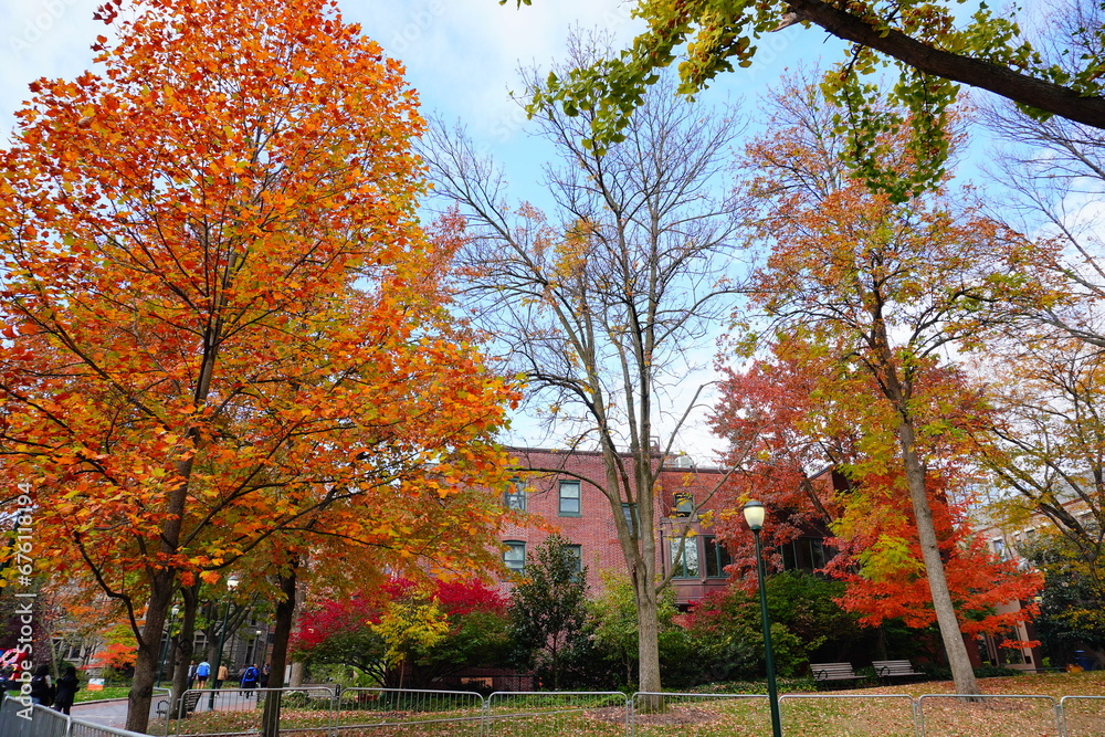 Naklejka premium University of Pennsylvania Fall colorful foliage autumn landscape
