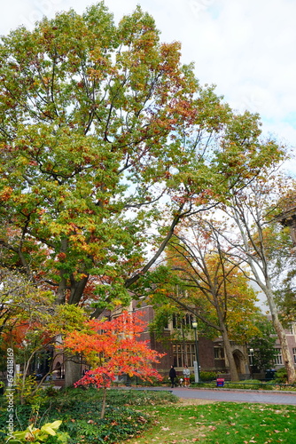 University of Pennsylvania Fall colorful foliage autumn landscape 