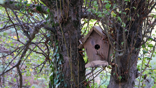Fototapeta Naklejka Na Ścianę i Meble -  Wood bird house bird nest hanging on a tree with nature tree forest background.
