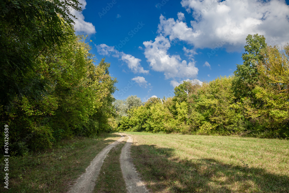 Panorama of a dirtpath in a clearing meadow with grass and grassland in the middle of forest and trees of the Duna Drava Nemzeti Park in Mohacs, Hungary. It's a Hungarian National Park. Panorama of a dirtpath in a clearing meadow with grass and grassland in the middle of forest and trees of the Duna Drava Nemzeti Park in Mohacs, Hungary. It's a Hungarian National Park.