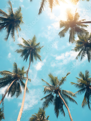 coconut palm trees against blue sky on a sunny day