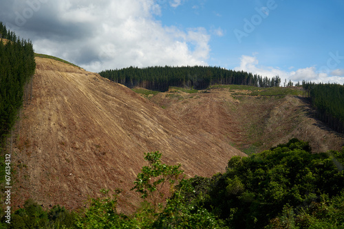 Deforestation site with exposed soil and remaining tree lines in New Zealand