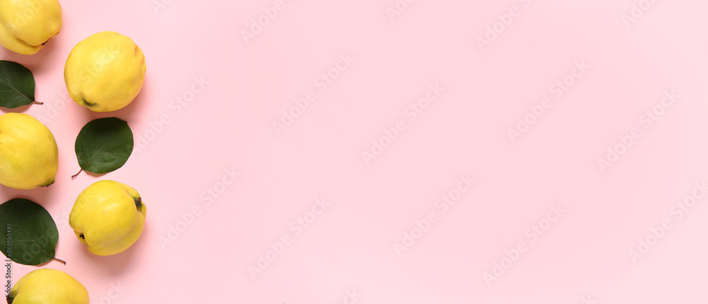 Sweet ripe quinces and leaves on pink background with space for text, top view