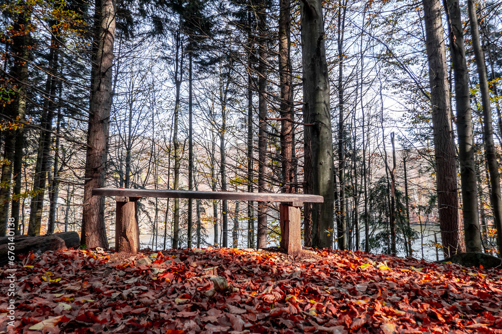 Beautiful autumn nature full of fallen leaves Beautiful autumn nature full of fallen leaves