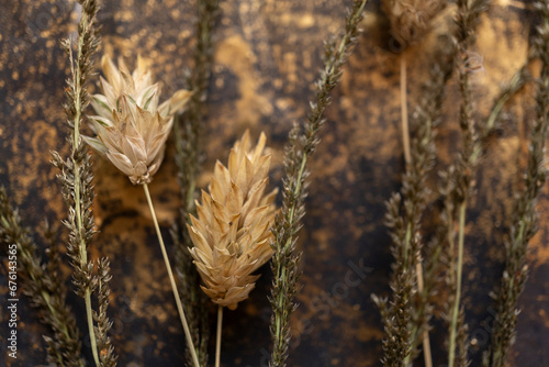 acercamiento de plantas secas silvestres sobre mesa de trabajo con polvo dorado esparcido