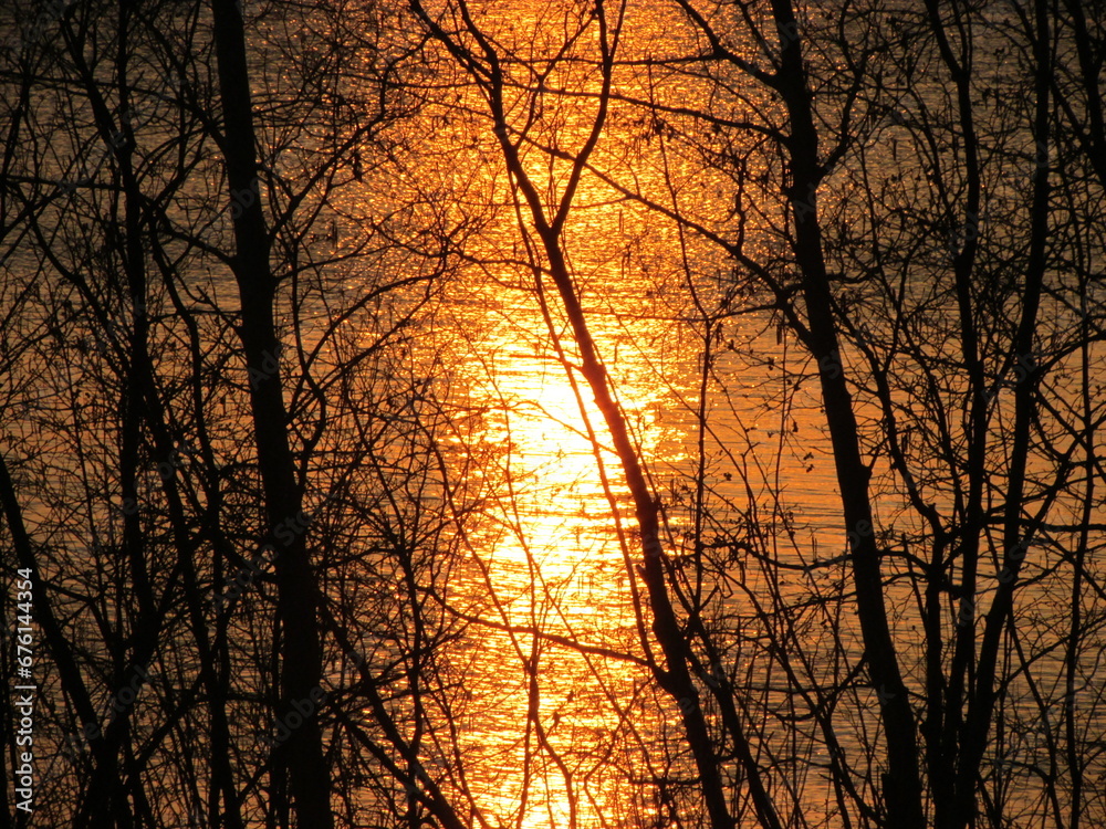 Sunset through the trees, into the lake Sunset through the trees, into the lake