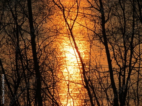 Sunset through the trees, into the lake © Jacob