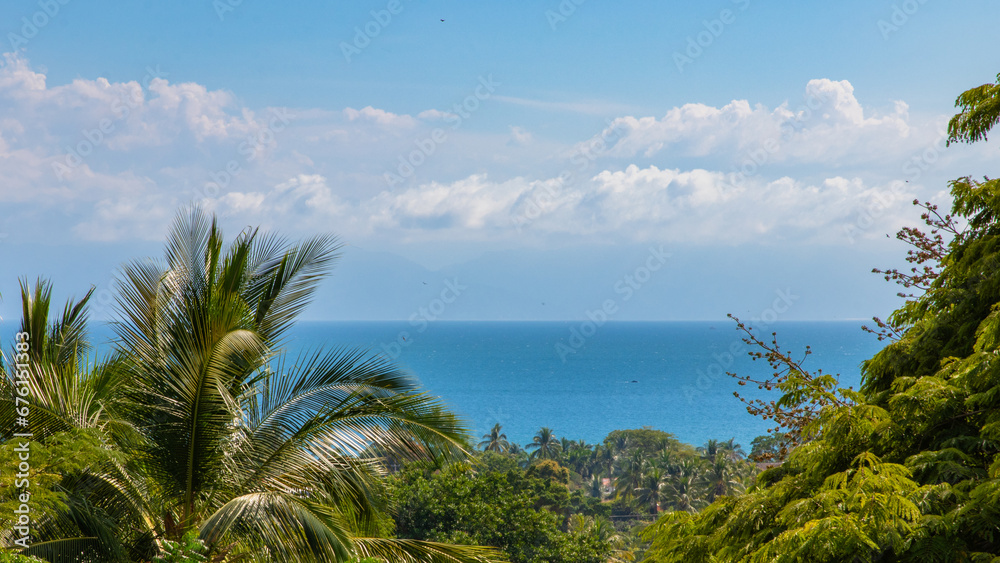 Beautiful view of Bucerías trees Beautiful view of Bucerías trees
