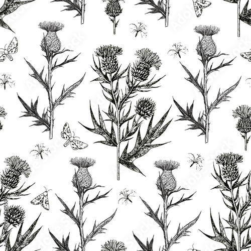 Seamless pattern with thistle flowers and buds. Ink hand-drawn detailed illustration. Vector graphic.