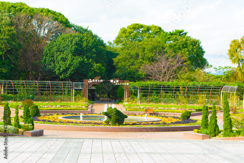 のんほいパーク屋外植物園の大花壇