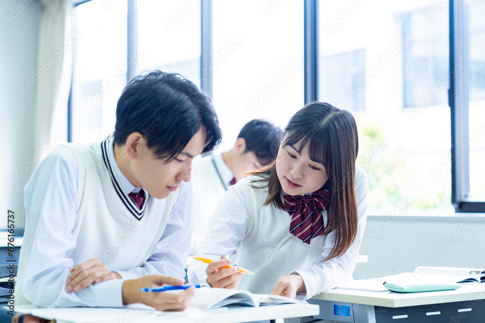 勉強を教え合う高校生 勉強を教え合う高校生