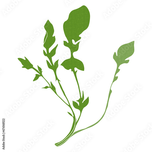 春の七草　ホトケノザのイラスト henbit