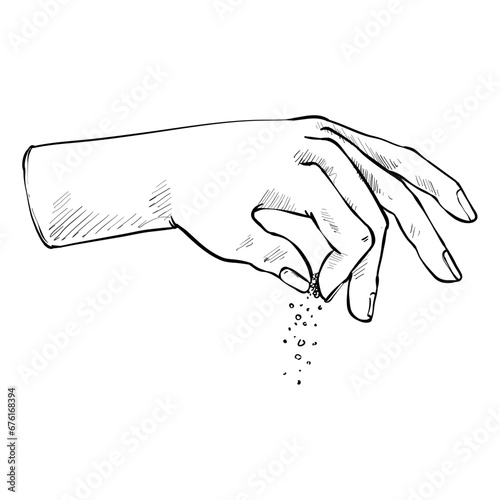 salt handdrawn illustration