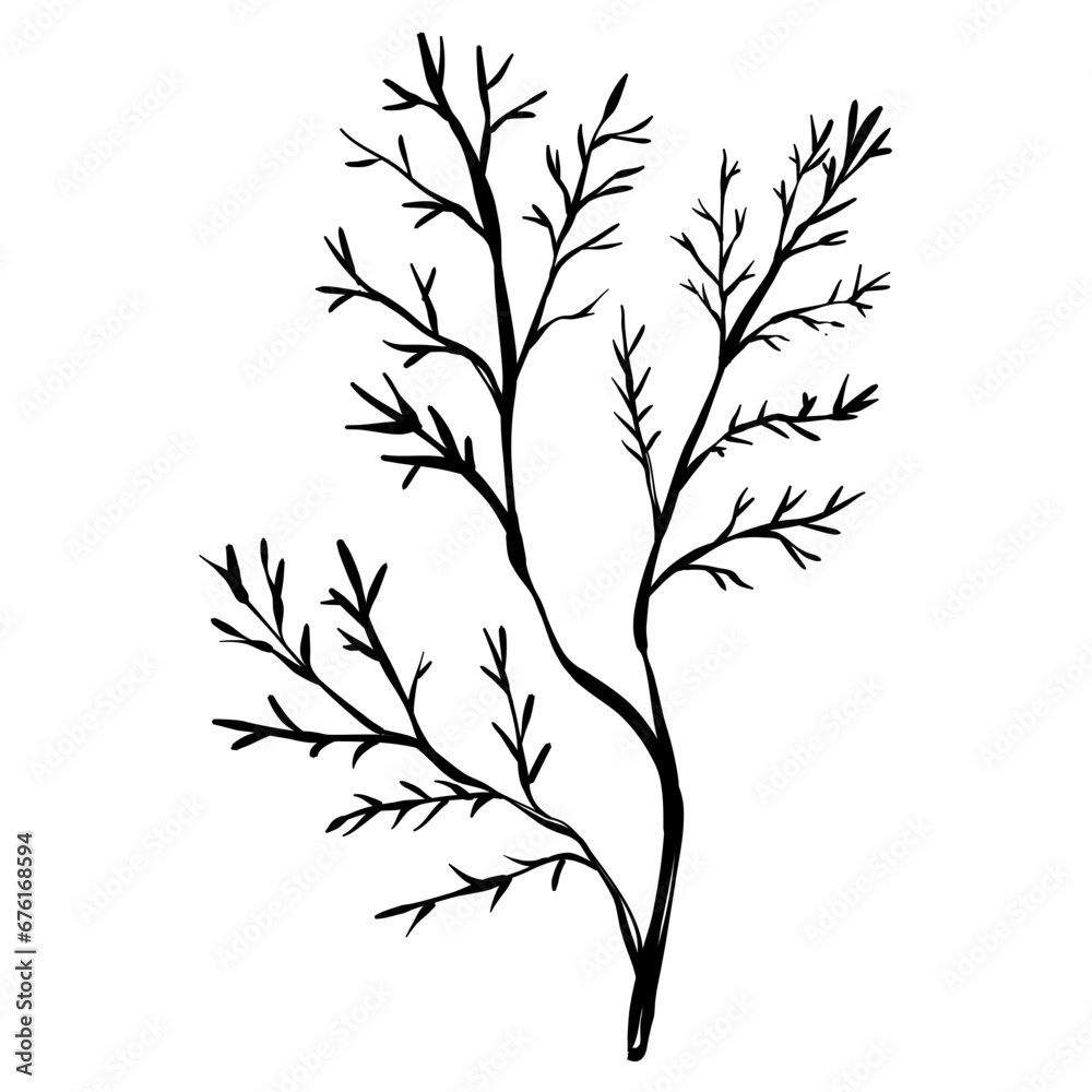Fototapeta premium spring leaf handdrawn illustration