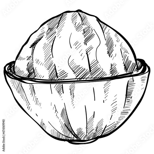 walnut handdrawn illustration