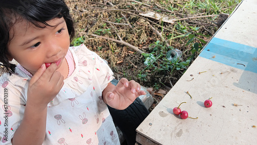 A little girl is biting a Muntingia calabura fruit photo