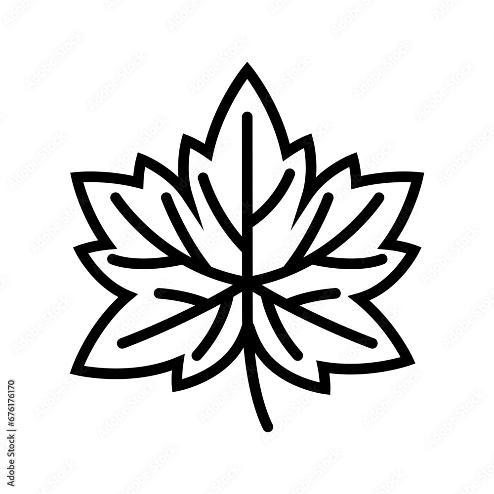 Maple Leaf Line Style in Design Icon Maple Leaf Line Style in Design Icon