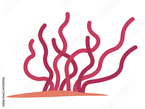 Red algae, seaweed flora on sea or ocean bottom