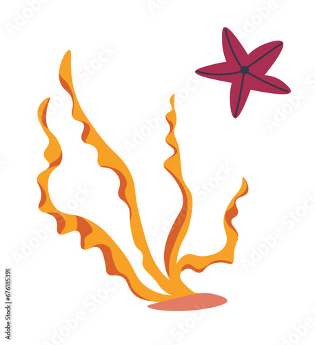 Aquarium plant, flora and fauna of sea or ocean