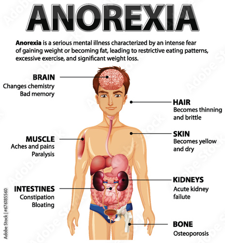 Effects of Anorexia on Male Anatomy