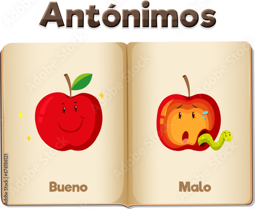Spanish Language Word Card: Bueno and Malo Antonyms means good and bad