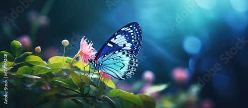The isolated butterfly with its colorful wings and beautiful pink spots gracefully flutters against the background of vibrant green and blue nature showcasing the art of nature s beauty in  photo