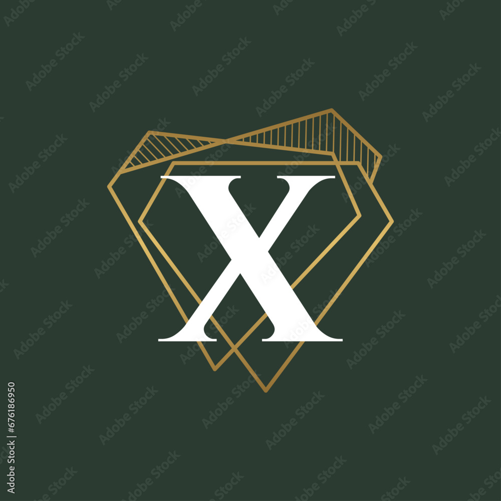 Diamond Letter X and jewelry logo design vector