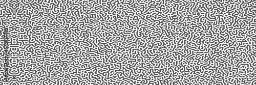 Monochrome reaction diffusion seamless pattern. Abstract background. Organic line art endless wallpaper. Black and white colors. Turing generative design. Abstract turing organic wallpaper background © Sharmin