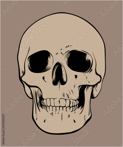Skull