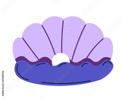 Open seashels scallop and pearl shell, oyster
