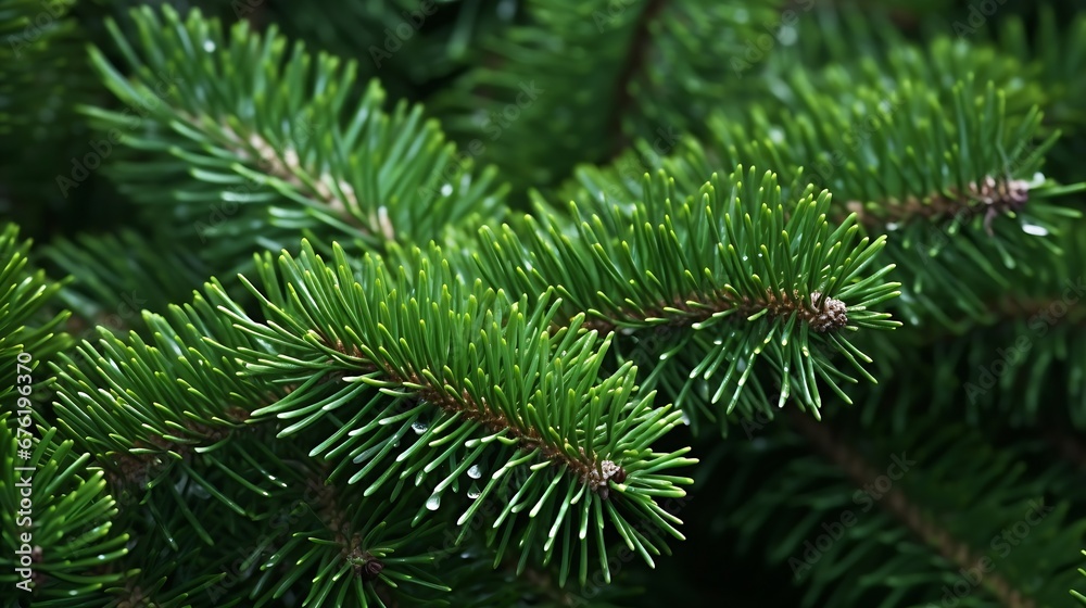 green branches of a pine tree close-up, short needles of a coniferous tree close-up on a green background, texture of needles of a Christmas tree close-up : Generative AI