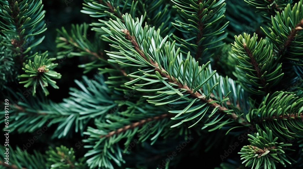 teal background of green juniper branches, dark cyan juniper bush close-up, background for banner close-up, sustainable development : Generative AI teal background of green juniper branches, dark cyan juniper bush close-up, background for banner close-up, sustainable development : Generative AI
