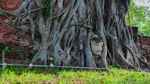 Wat Mahathat is one of the important temples of Ayutthaya..The point where you have to stop and take photos is The Buddha's head .in the tree here is unseen Thailand, meaning it looks strange. photo