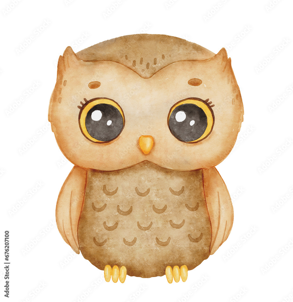 Watercolor cute baby owl. Hand drawn character forest bird isolated on ...