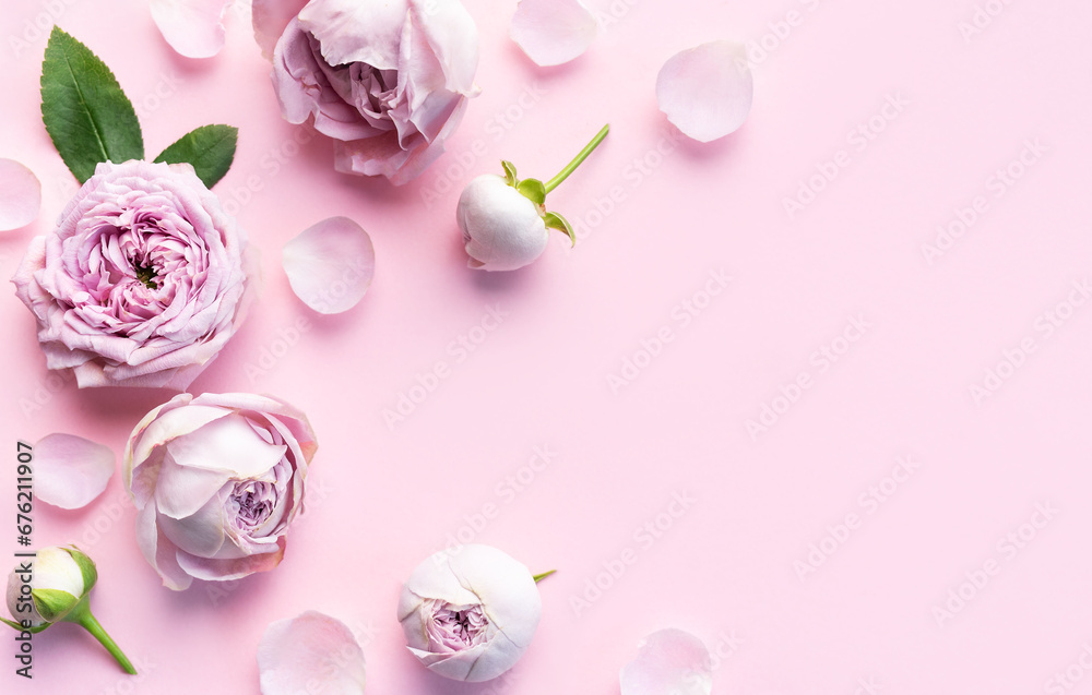 Pink rose flowers on pastel pink background
