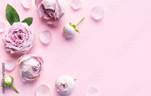 Pink rose flowers on pastel pink background