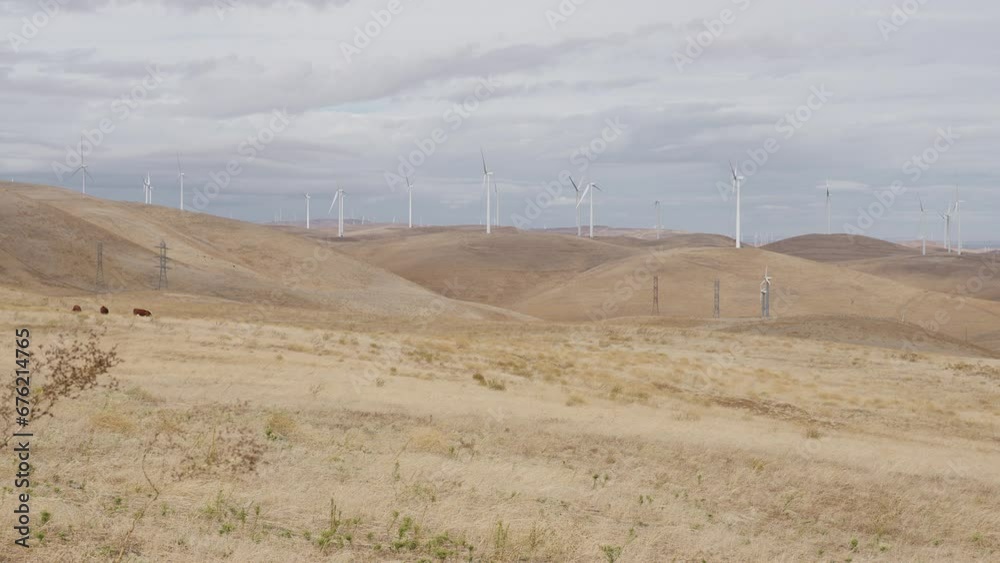 Wide shot windmills and dry hills with clouds. Cows in mid-ground, birds fly by.