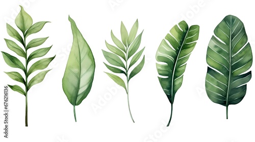  set of green leaves