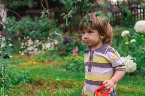 little boy in the summer garden