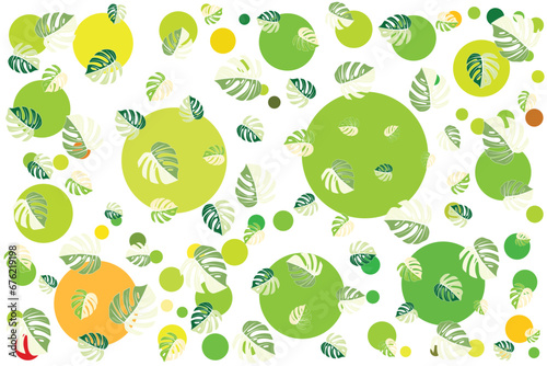 Illustration, Monstera spotted leaves with circle background.