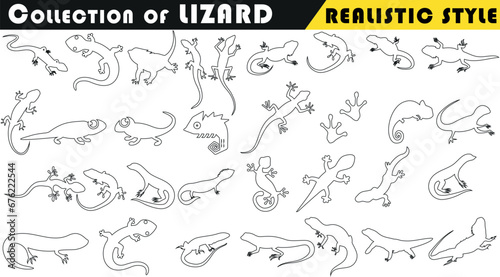 Realistic line art of lizard illustrations collection. Perfect for educational materials, graphic design, and more.