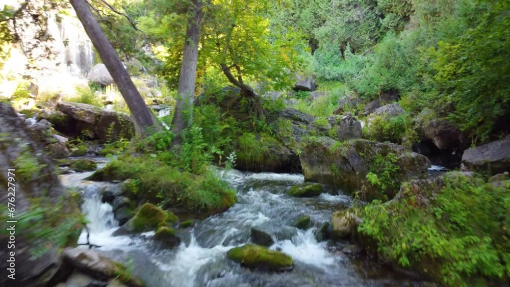 Flying through and near waterfall hidden in the forest. Flying through and near waterfall hidden in the forest.