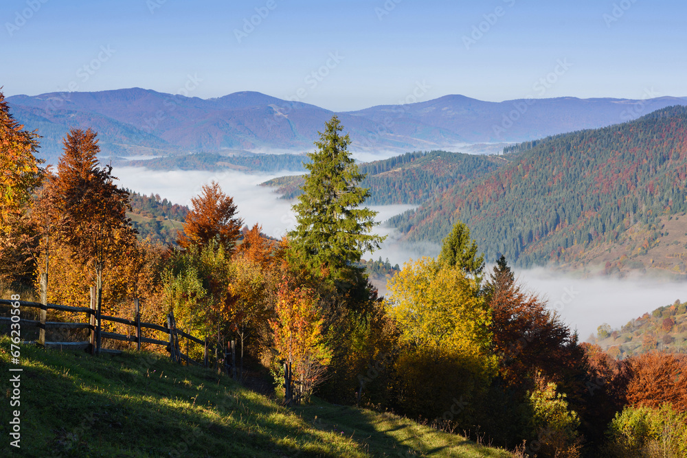 Fototapeta premium Beautiful autumn mountain landscape in the morning light with fog and bright hills. Carpathian, Ukraine, Europe.