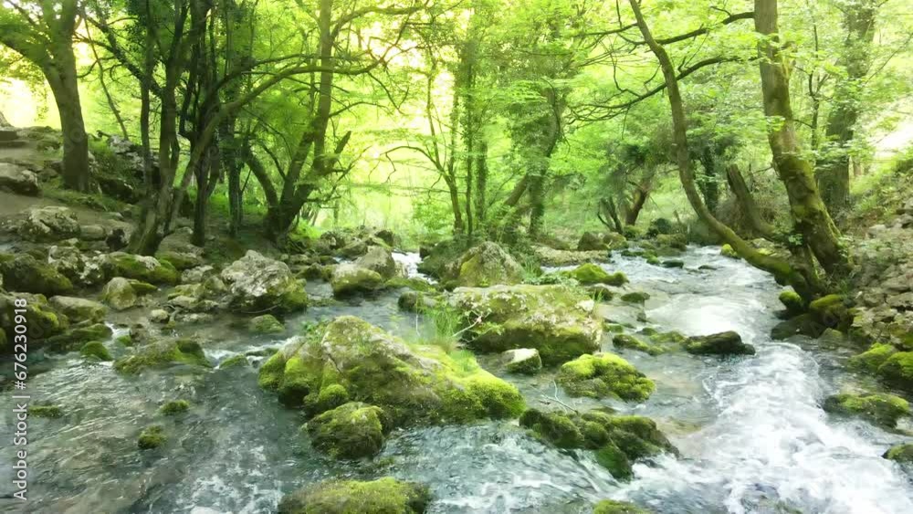 A serene water stream flowing through the woods, small waterfall descending over rocks covered with moss A serene water stream flowing through the woods, small waterfall descending over rocks covered with moss